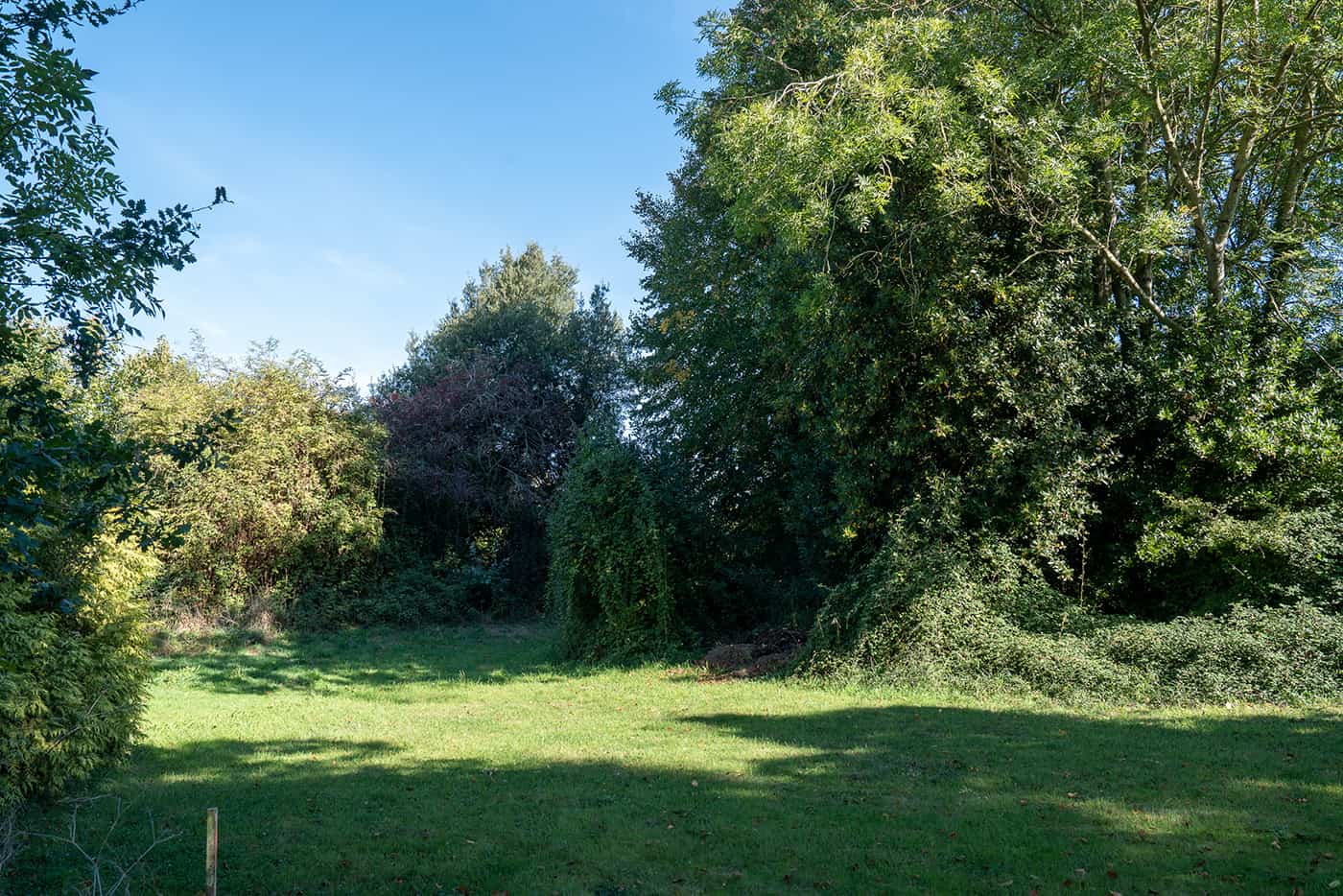 Grande pelouse entourée d’arbres dans le parc de Villa Estran