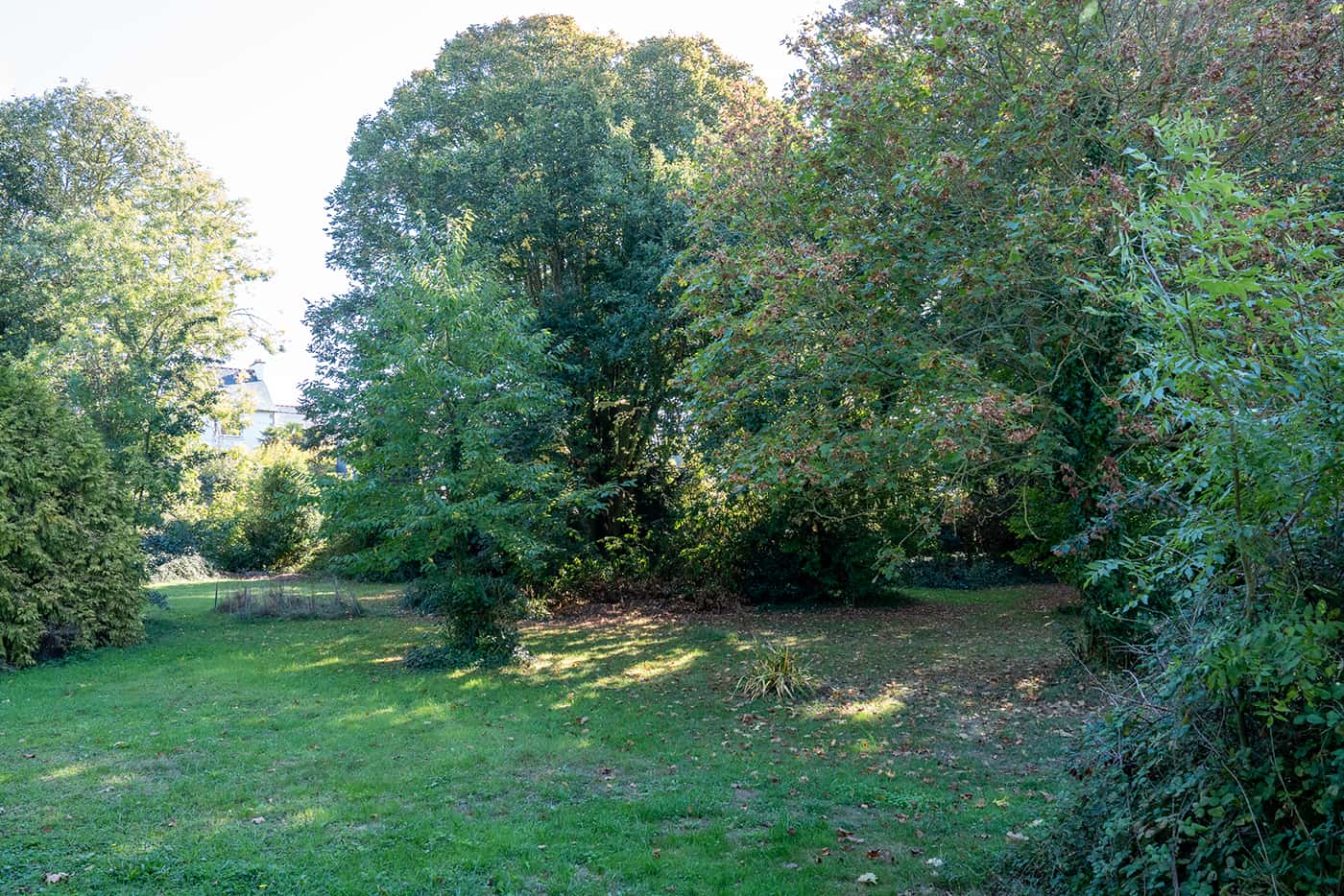 Allée engazonnée et arbres matures du parc de Villa Estran