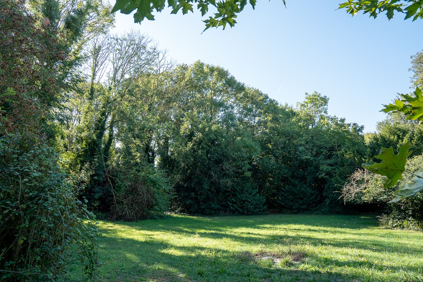 Clairière arborée du parc de Villa Estran